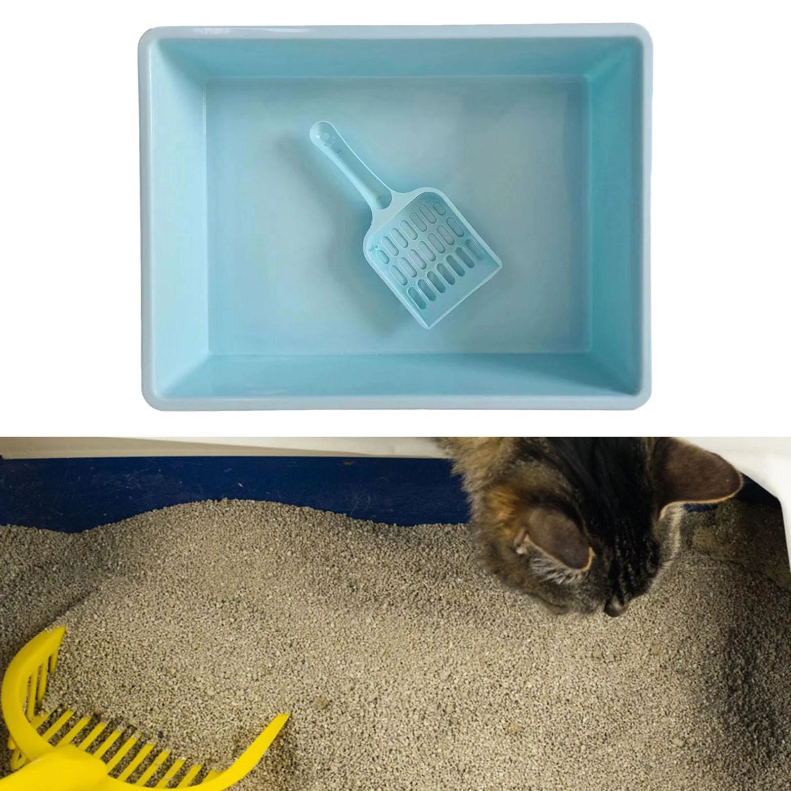 Cat Pet Litter Tray Toilet Bedpan Container Deep Loo Litter Pan Blue