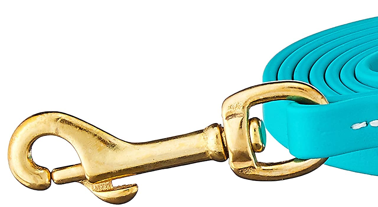 J&J Dog Supplies Biothane Dog Leash, 1/2