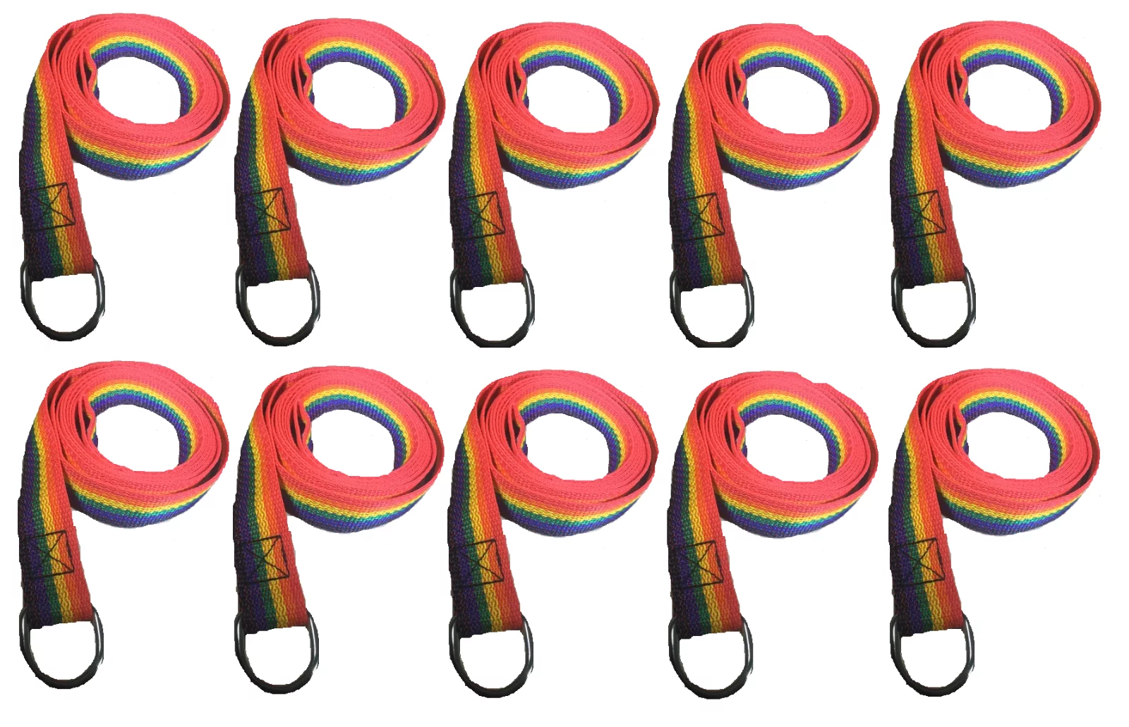Rainbow Slip Style Dog Leash 6 ft Vet Rescue Shelter Training 5 or 10 Lead Packs (10 Leads)
