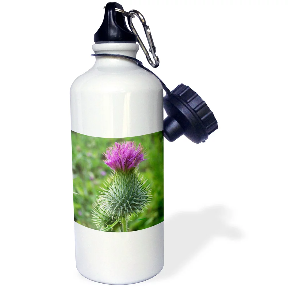 3dRose giant thistle, Sports Water Bottle, 21oz
