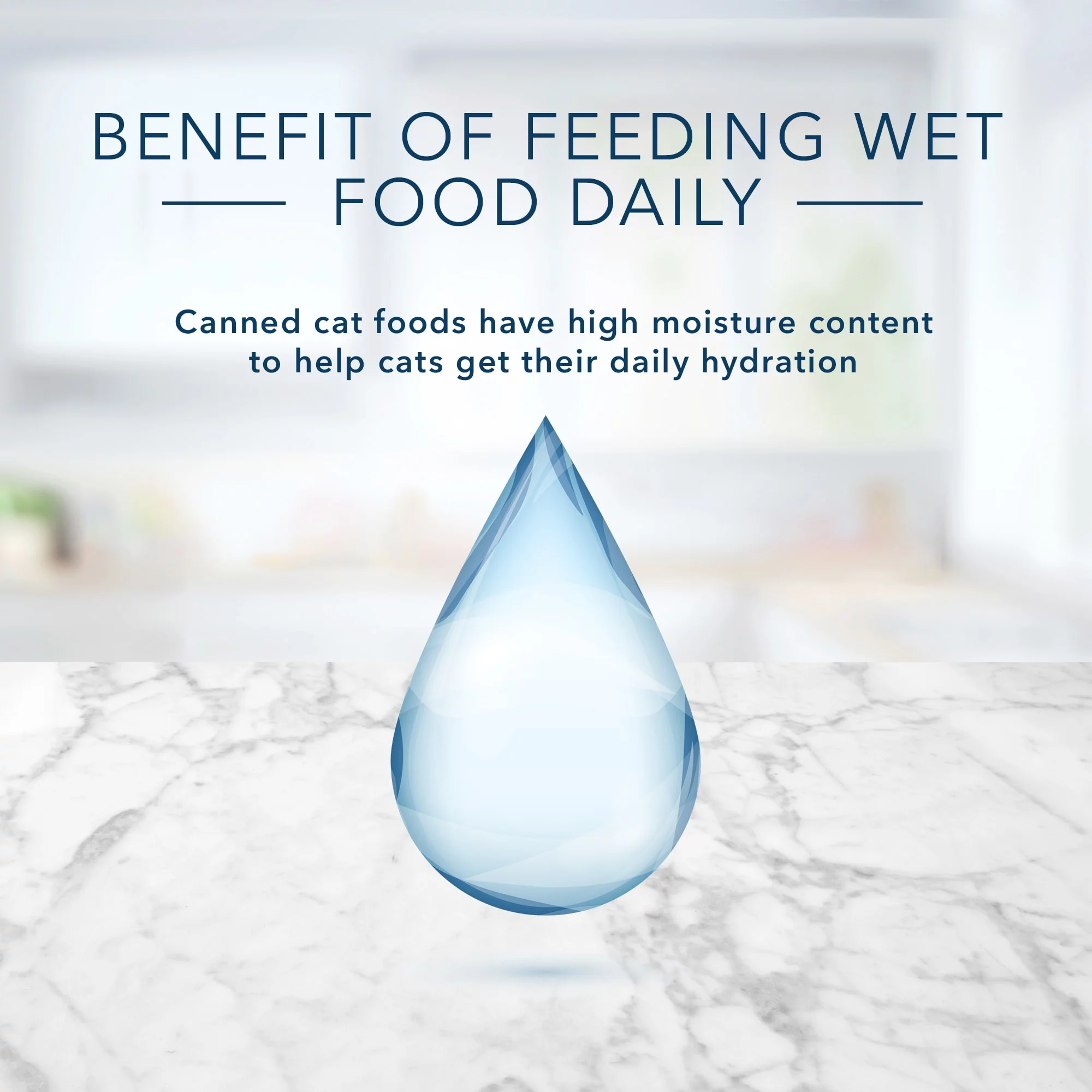 Blue Buffalo Tastefuls Variety Pack Pate Wet Cat Food (Pack of 2)