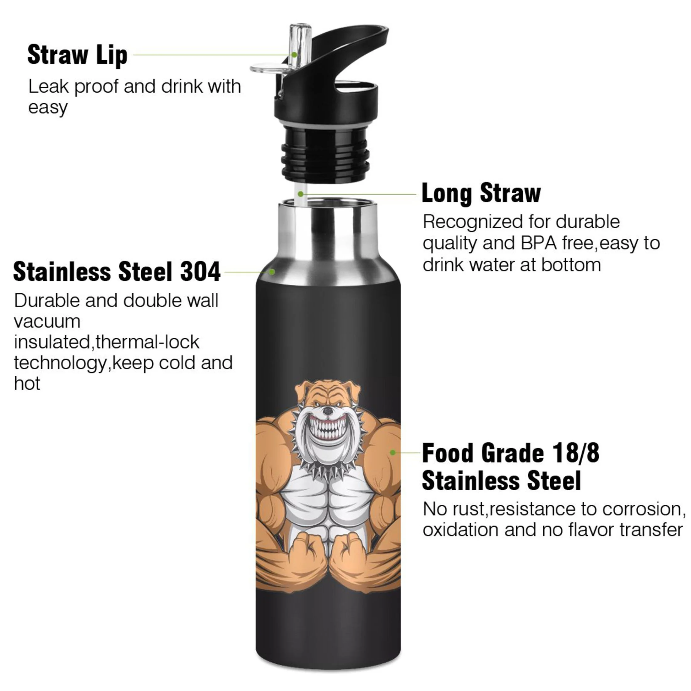 Water Bottle with Straw Lid Leak Dog Stainless Steel Insulated Thermos Vacuum Flask for Cold Hot Drinking for Sports Camping Gym Yoga
