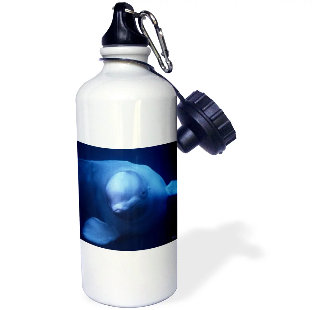 3dRose Beluga or White Whale, Delphinapterus leucas, Arctic, Sports Water Bottle, 21oz