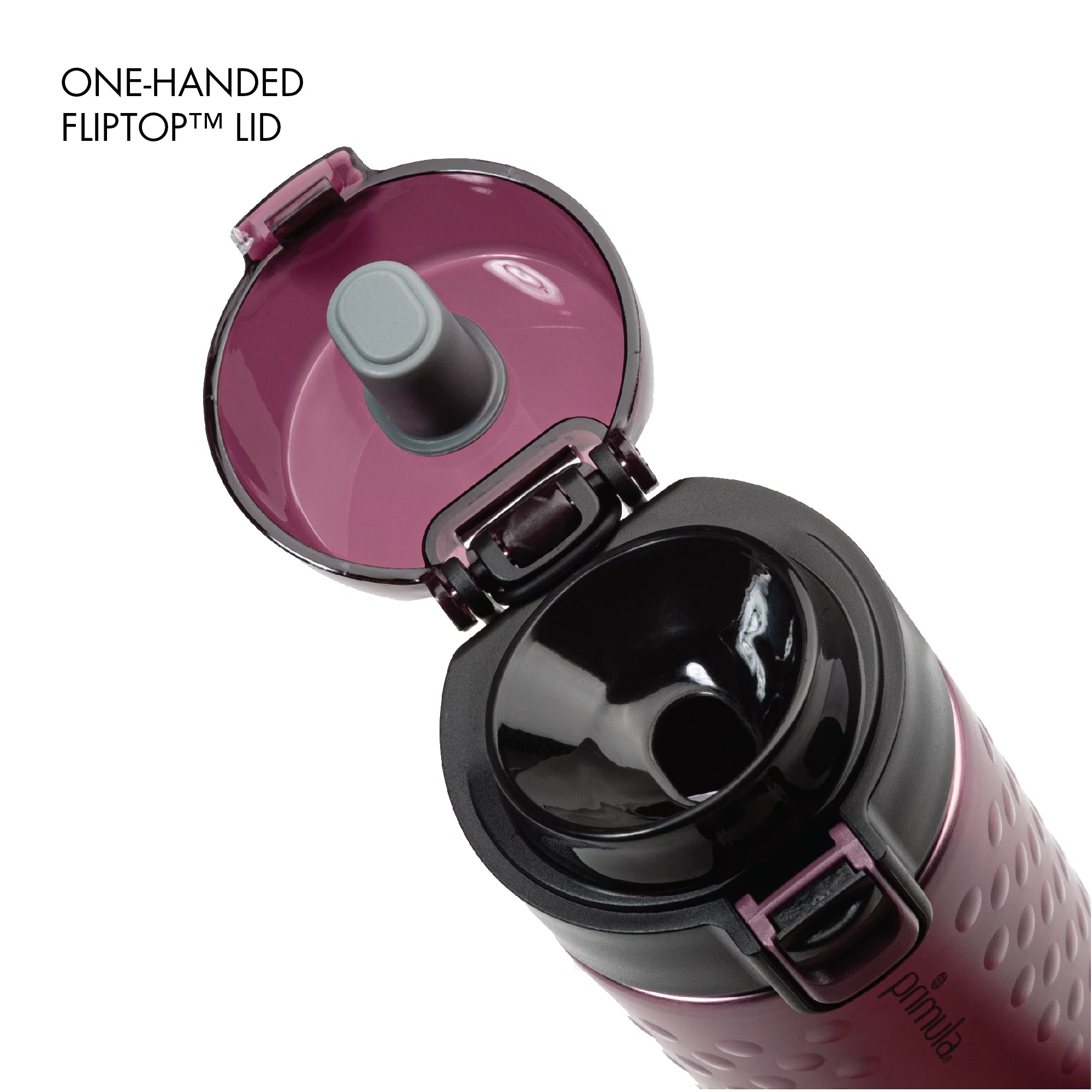 Primula Hamilton Tumbler 12 Ounce Stainless Steel Vacuum Insulated Tumbler, Thermos, Purple