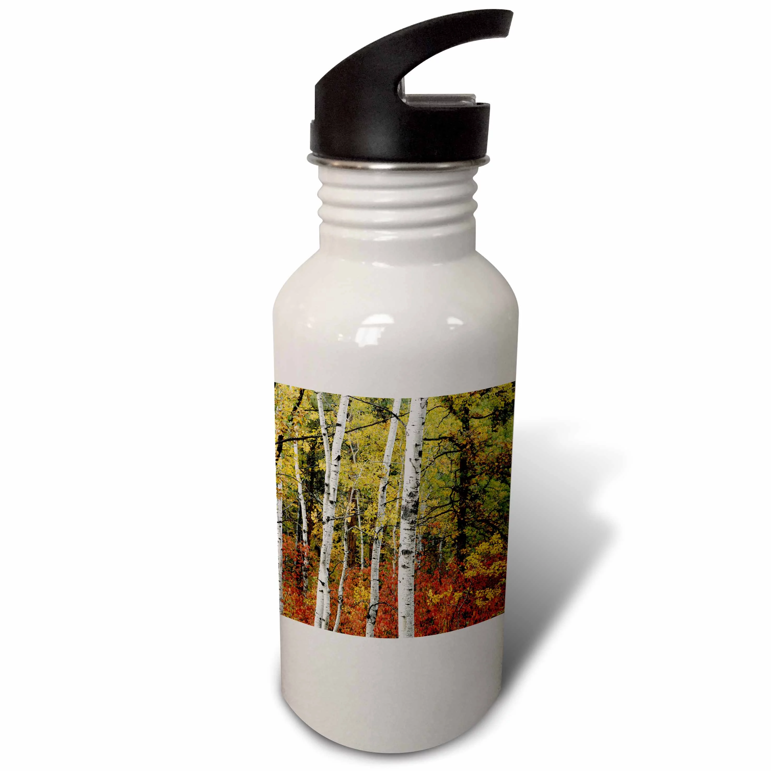 USA, South Dakota,Custer, Black hills area Custer SP, Autumn foliage. 21 oz Sports Water Bottle wb-192083-1