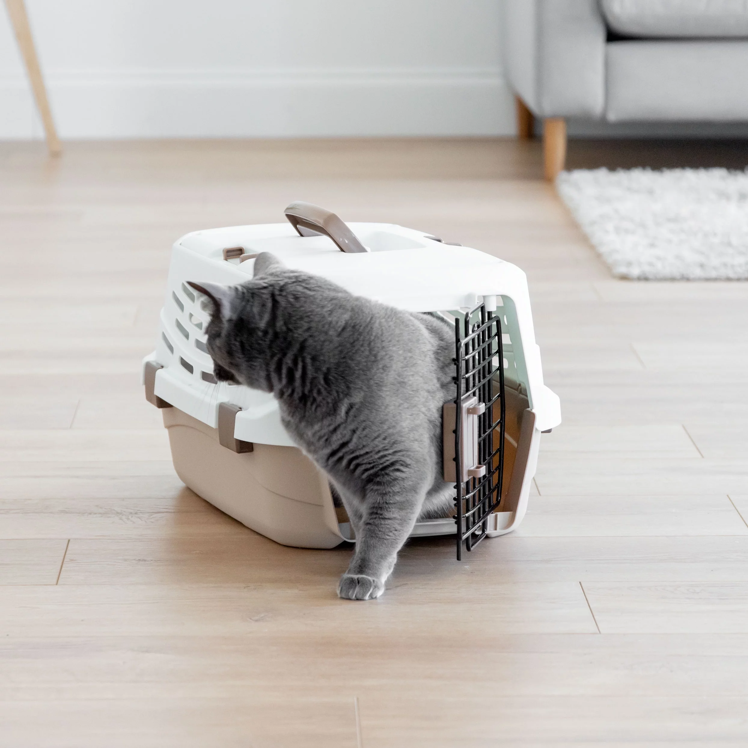 IRIS Small Easy Access Pet Travel Carrier, Off-White/Brown