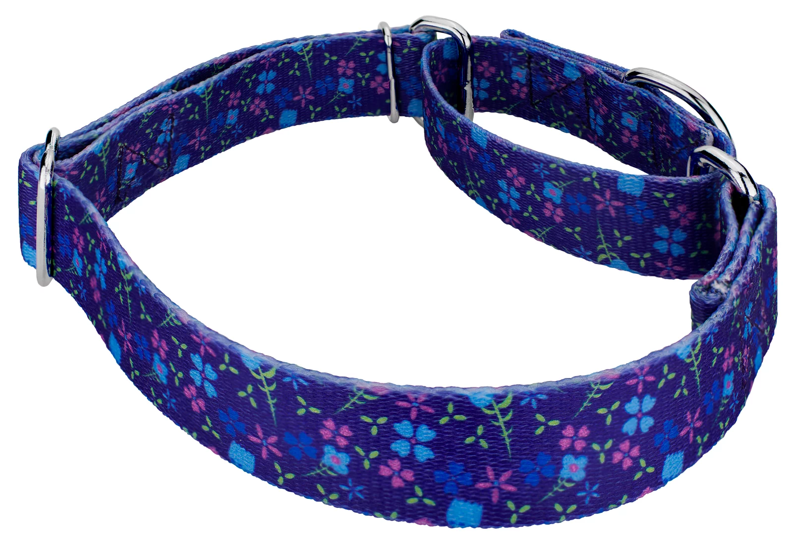 Country Brook Design® Blueberry Fields Martingale Dog Collar and Leash, Medium