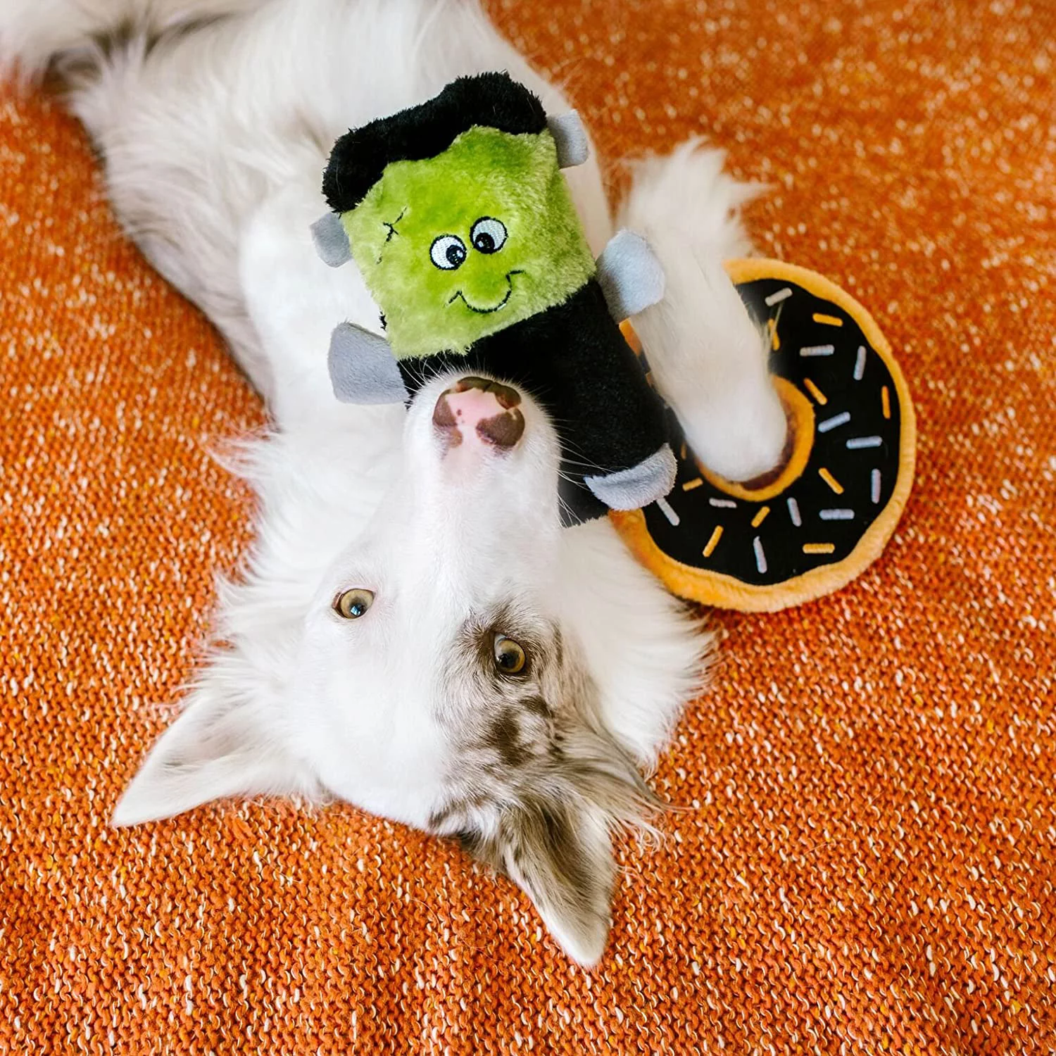 ZippyPaws Halloween Squeakie Buddies - Bulk 3 Pack of Spooky Stuffing-Free Squeaky Dog Toys, No Stuffing Holiday Puppy Toys, Dog Stuff for Small & Medium Dogs - Frankenstein, Pumpkin, & Bat