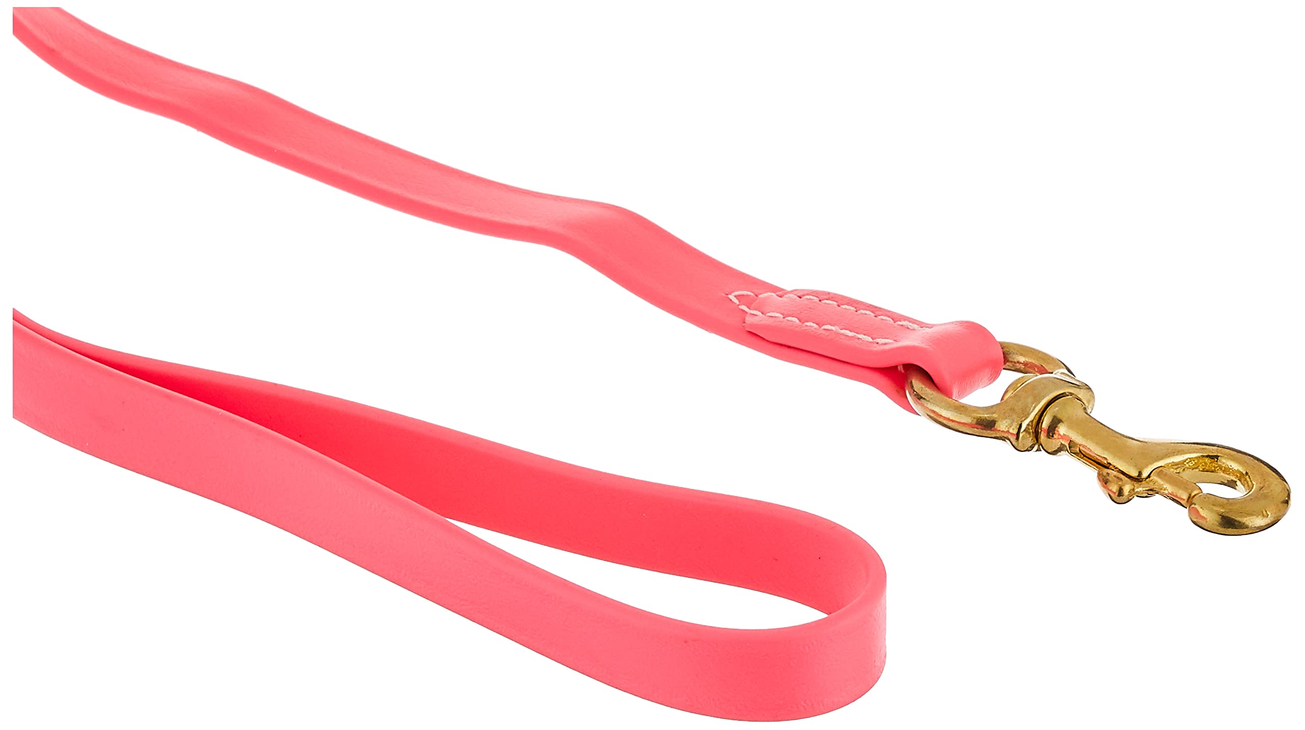 J&J Dog Supplies Biothane Dog Leash, 3/4