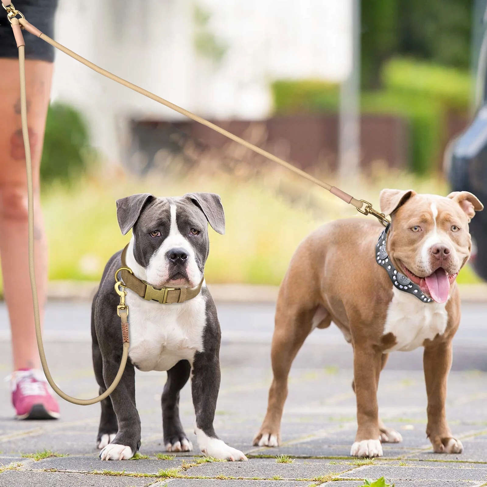 Pet Artist Strong Nylon Dog Leash / Pet Training Twin Rope Leashes 2 Way with Splitter Coupler