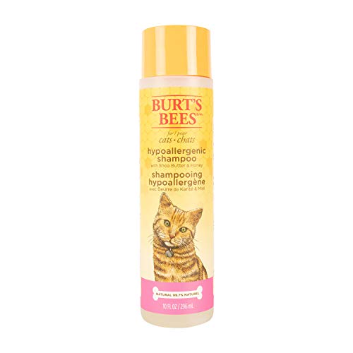 Burt's Bees For Cats Natural Hypoallergenic Shampoo With Shea Butter and Honey | Cat Shampoo, 10 Ounces - 2 Pack