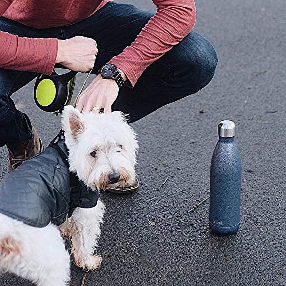 S'well 25 oz Gray and Silver Stainless Steel Water Bottle with Wide Mouth and Screw Cap