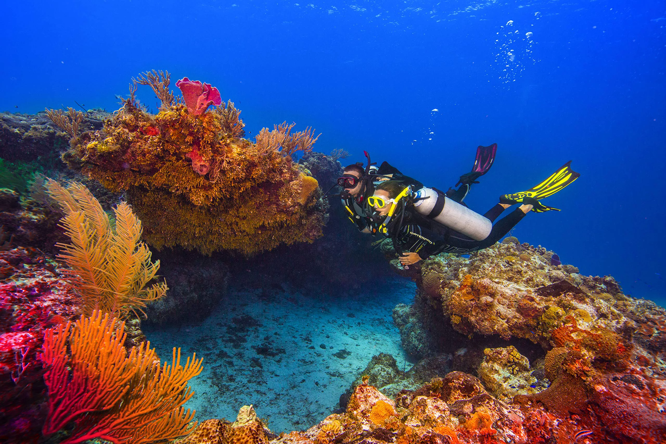 Tusa Vesna Scuba Dive Fin - Small - Black