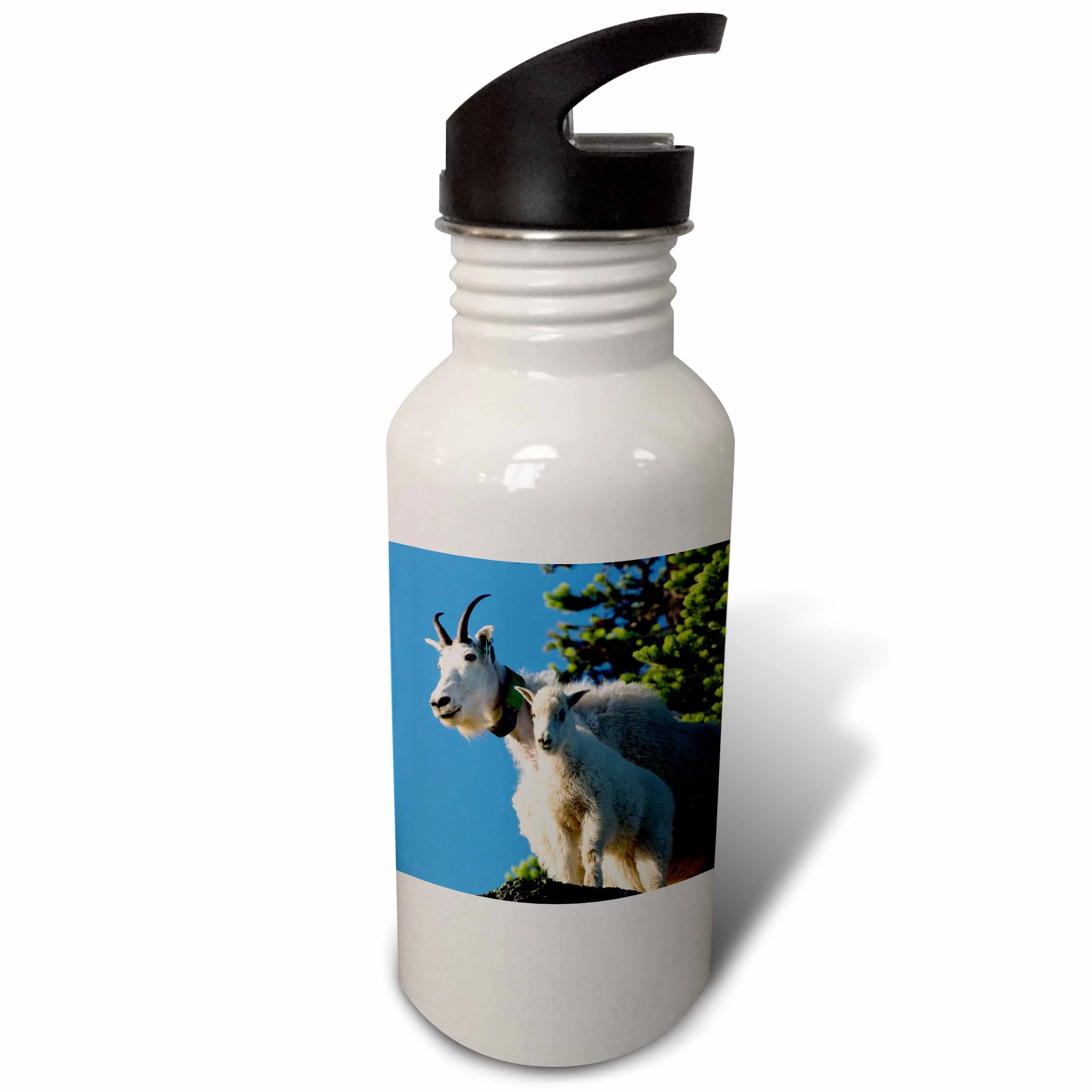 USA, Washington. Mountain Goat with kid at Hurricane Ridge. 21 oz Sports Water Bottle wb-190405-1