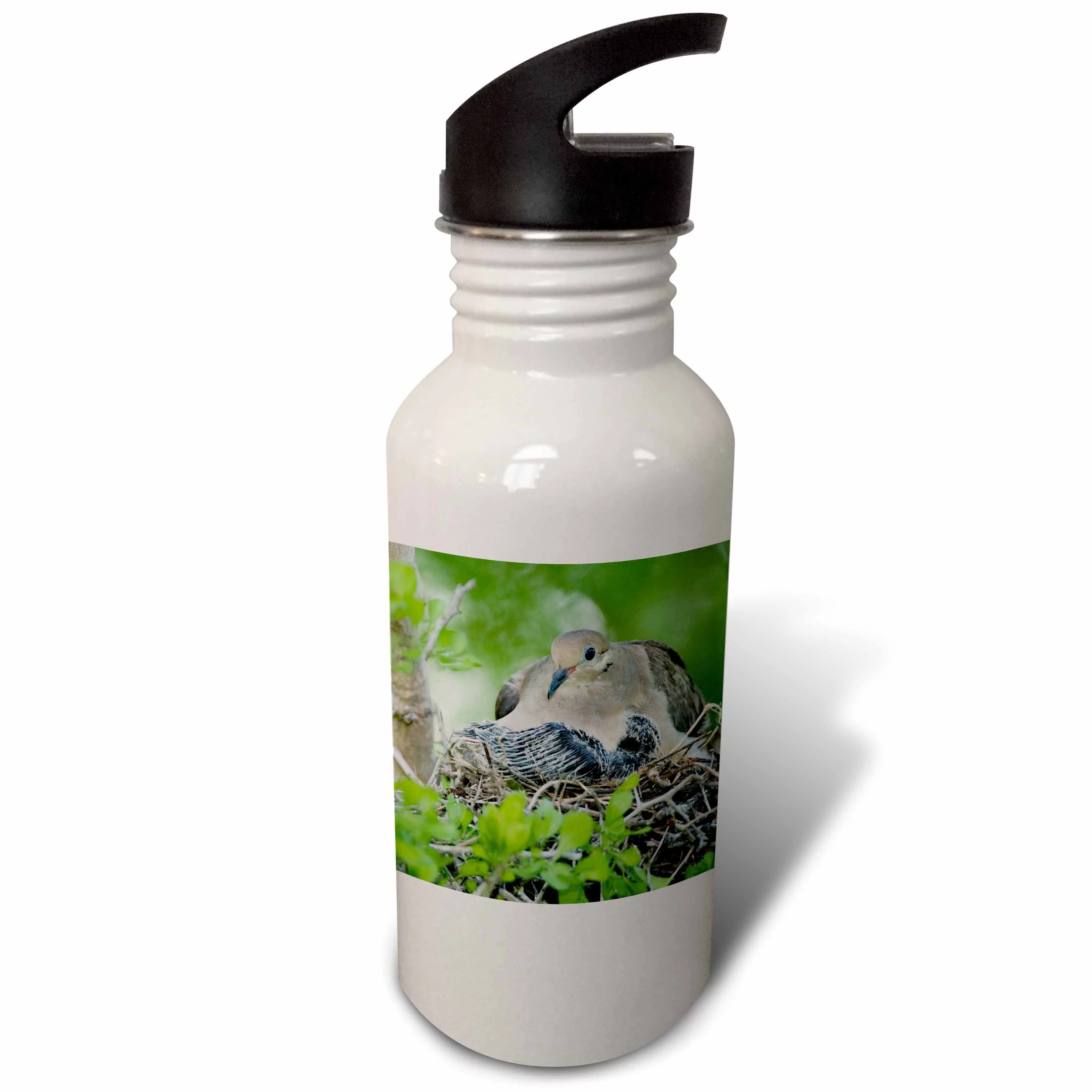 Mourning Dove, bird, Rio Grande Valley, Texas - NA02 RNU0193 - Rolf Nussbaumer 21 oz Sports Water Bottle wb-84307-1