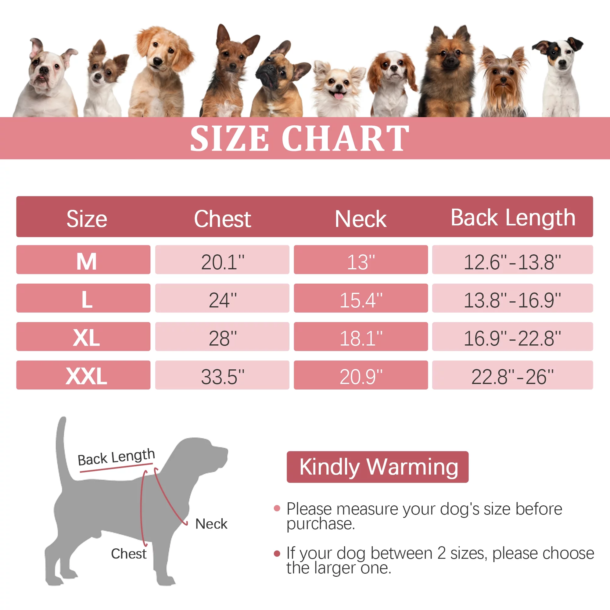 DENTRUN Dog Surgery Recovery Suit, Dog Onesie After Surgery Breathable Abdominal Wound Skin Diseases Protector, Cone Collar Alternative, Anti Licking Professional Surgical Recovery Costume