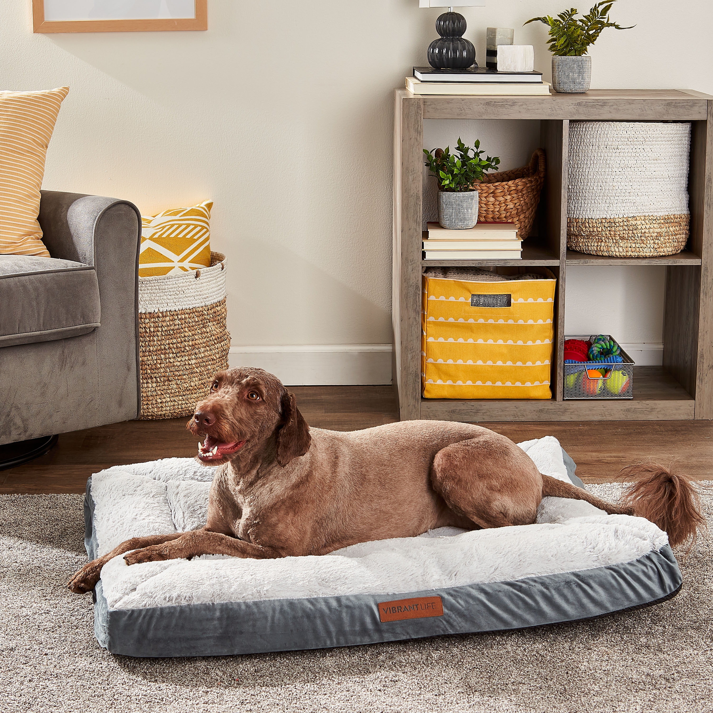 Vibrant Life Large Deluxe Pillow Top Dog Bed, Gray