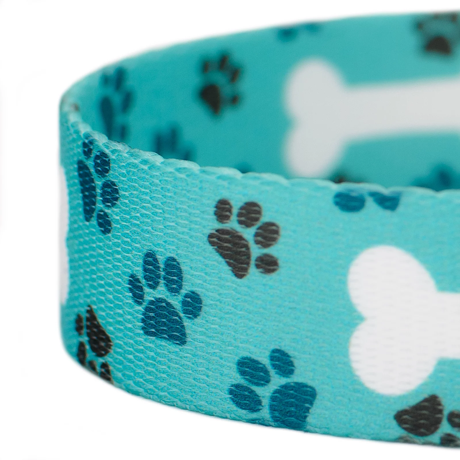 Country Brook Design - 1 inch Oh My Dog Leash, 6 Feet