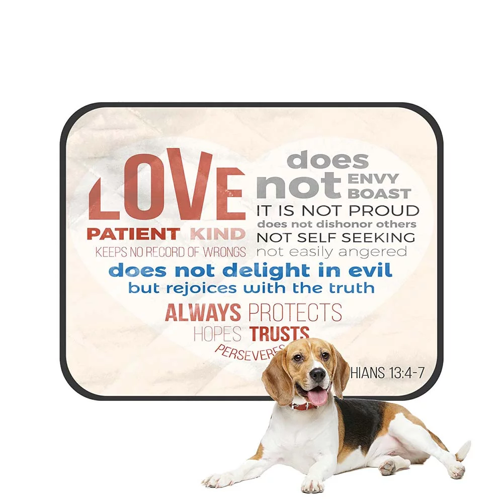 ECZJNT Bible Verse For Evangelist Pet Dog Cat Bed Pee Pads Mat Cushion Potty Dogs Blankets Crate Bed Kennel 25x30 inch