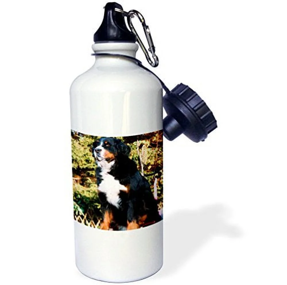 3dRose Bernese Mountain Dog, Sports Water Bottle, 21oz