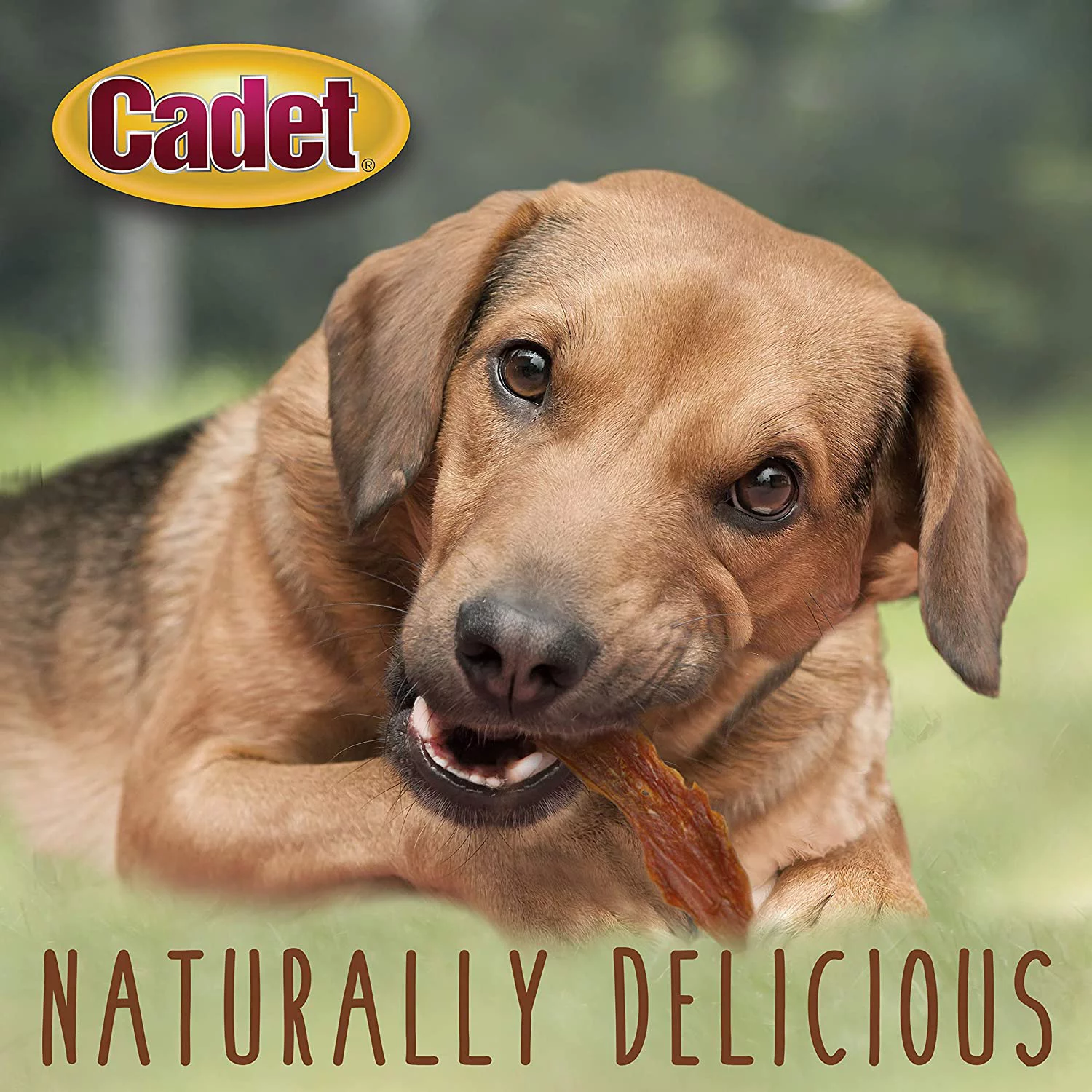 Cadet Premium Gourmet Duck Breast Dog Treats, 2.5 lb.