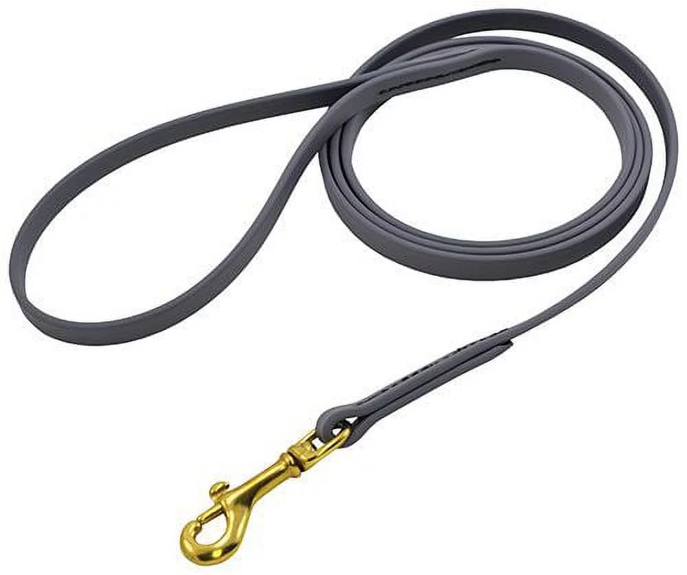 J&J Dog Supplies Biothane Dog Leash, 3/4