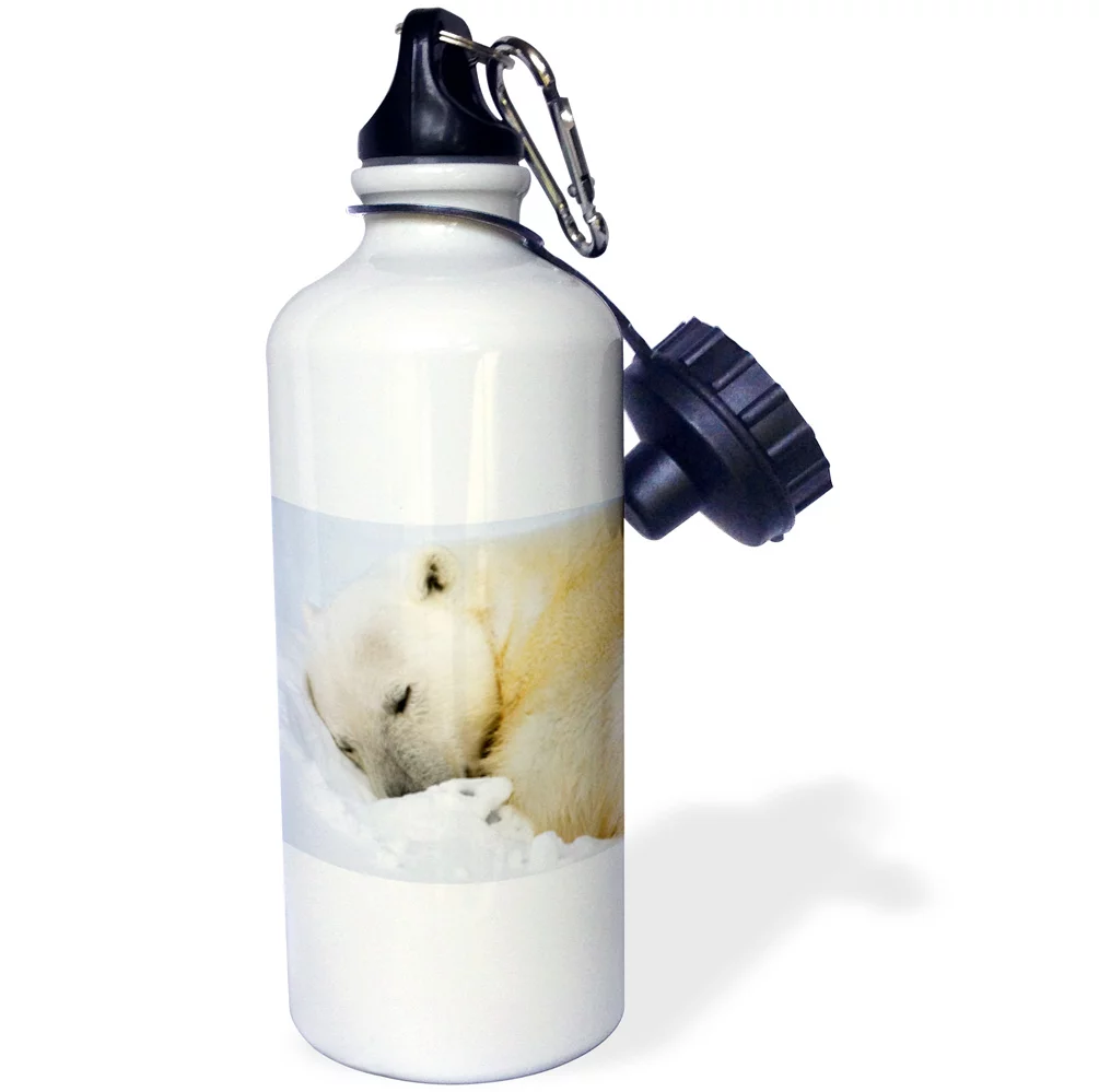 3dRose Norway, Svalbard, Spitsbergen Island, Polar Bear - EU21 PSO0391 - Paul Souders, Sports Water Bottle, 21oz
