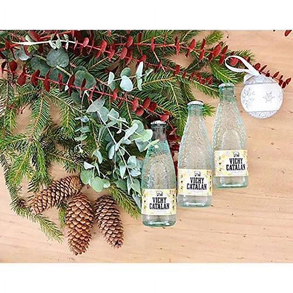 Sparkling Mineral Water  16.9 Oz (500 Ml) (20 Glass Bottles)