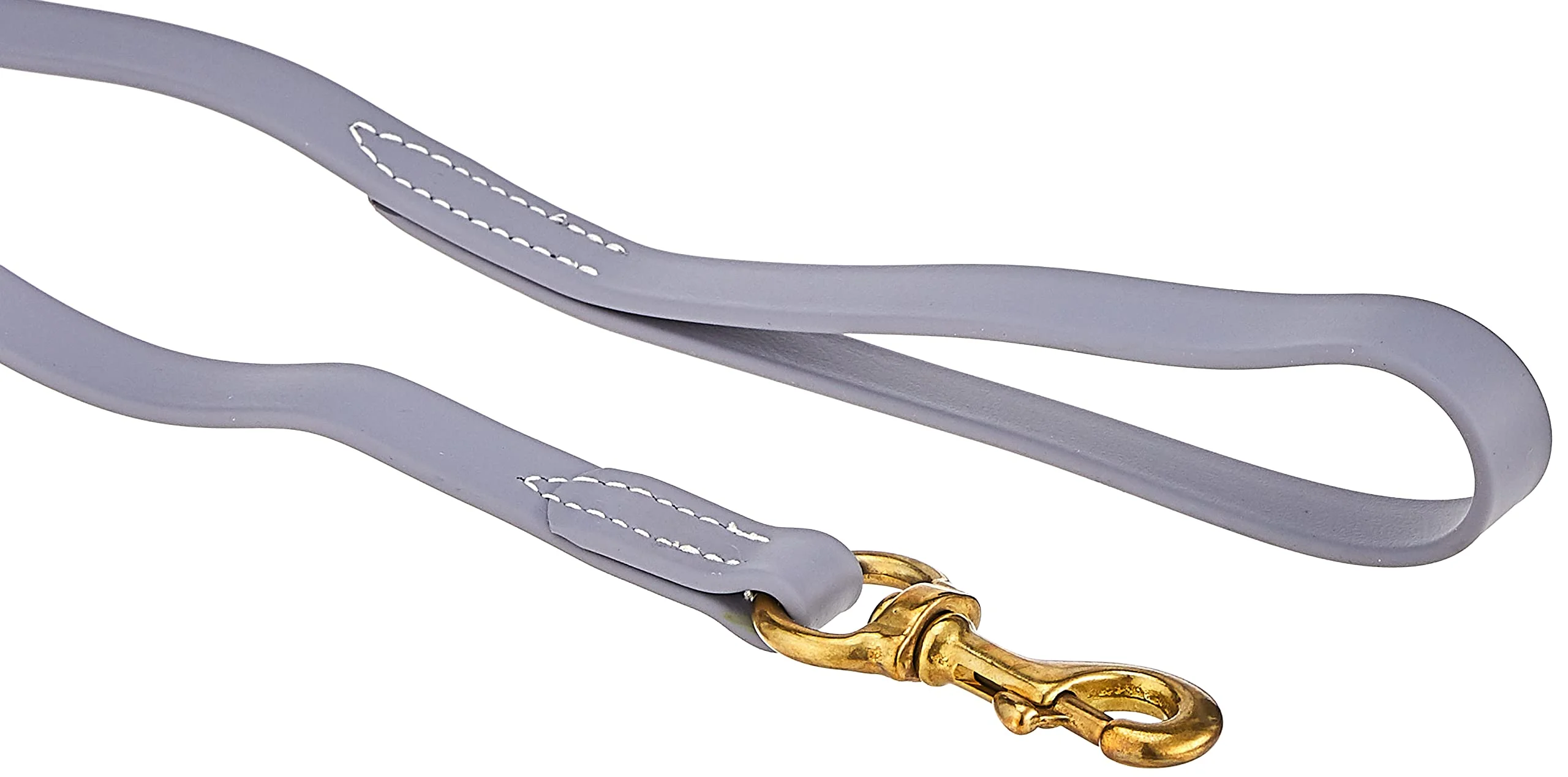 J&J Dog Supplies Biothane Dog Leash, 3/4