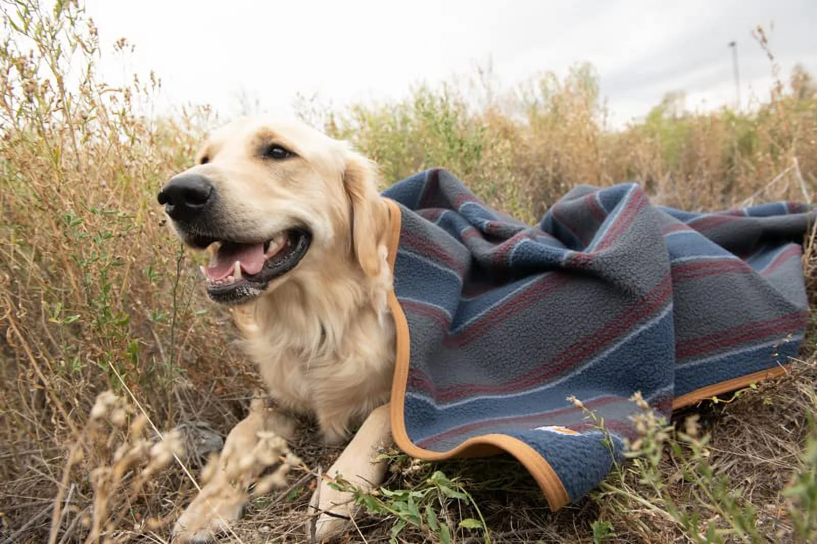 Carhartt Firm Duck Sherpa-Lined Throw Blanket, Reversible Pet Blanket