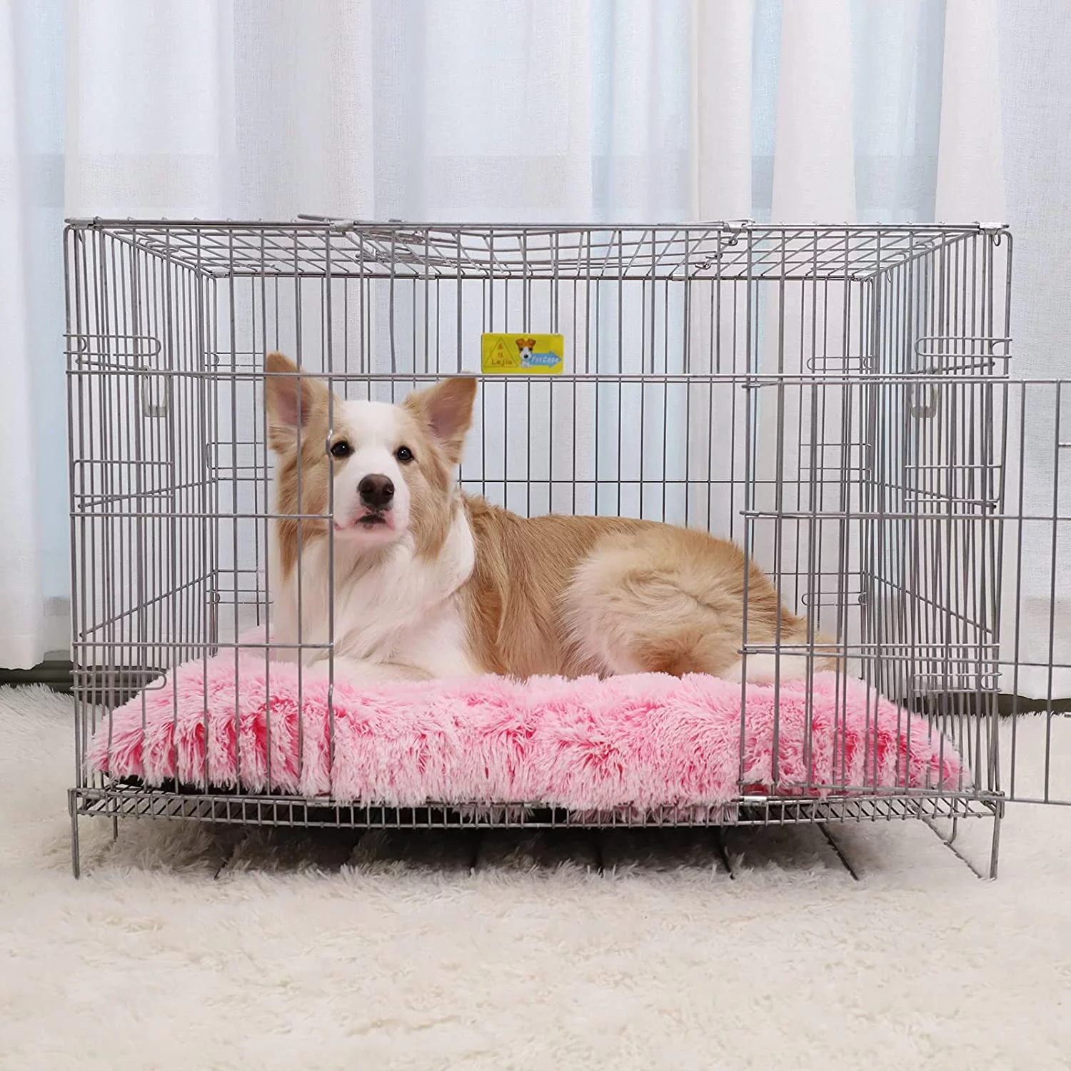 Dog Beds for Small Dogs Puppy Bed Washable Anti-Slip Sleeping Mat 38