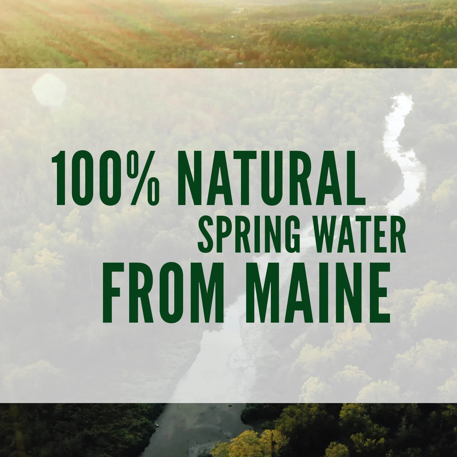 Poland Spring 100% Natural Spring Water, 33.8 Fl Oz, 15 Count Bottles