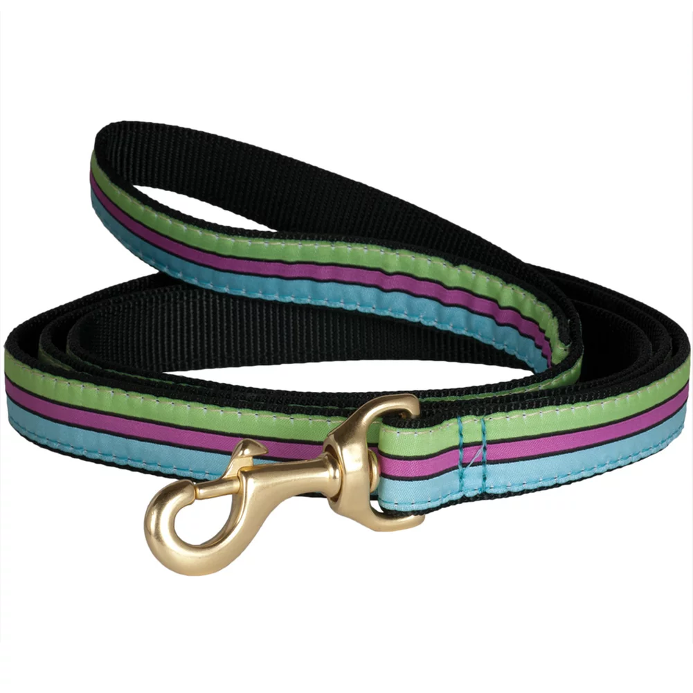 Soho Stripes Dog Leash - Small