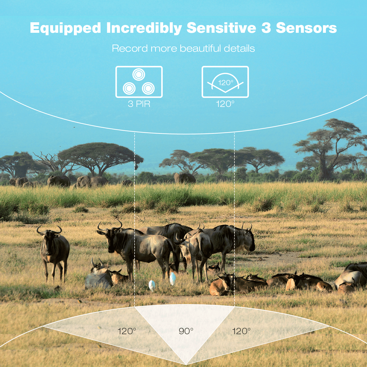 CAMPARK Trail Camera 1080P Game Hunting Camera with Night Vision Waterproof Motion Activated Trail Cam with SD Card