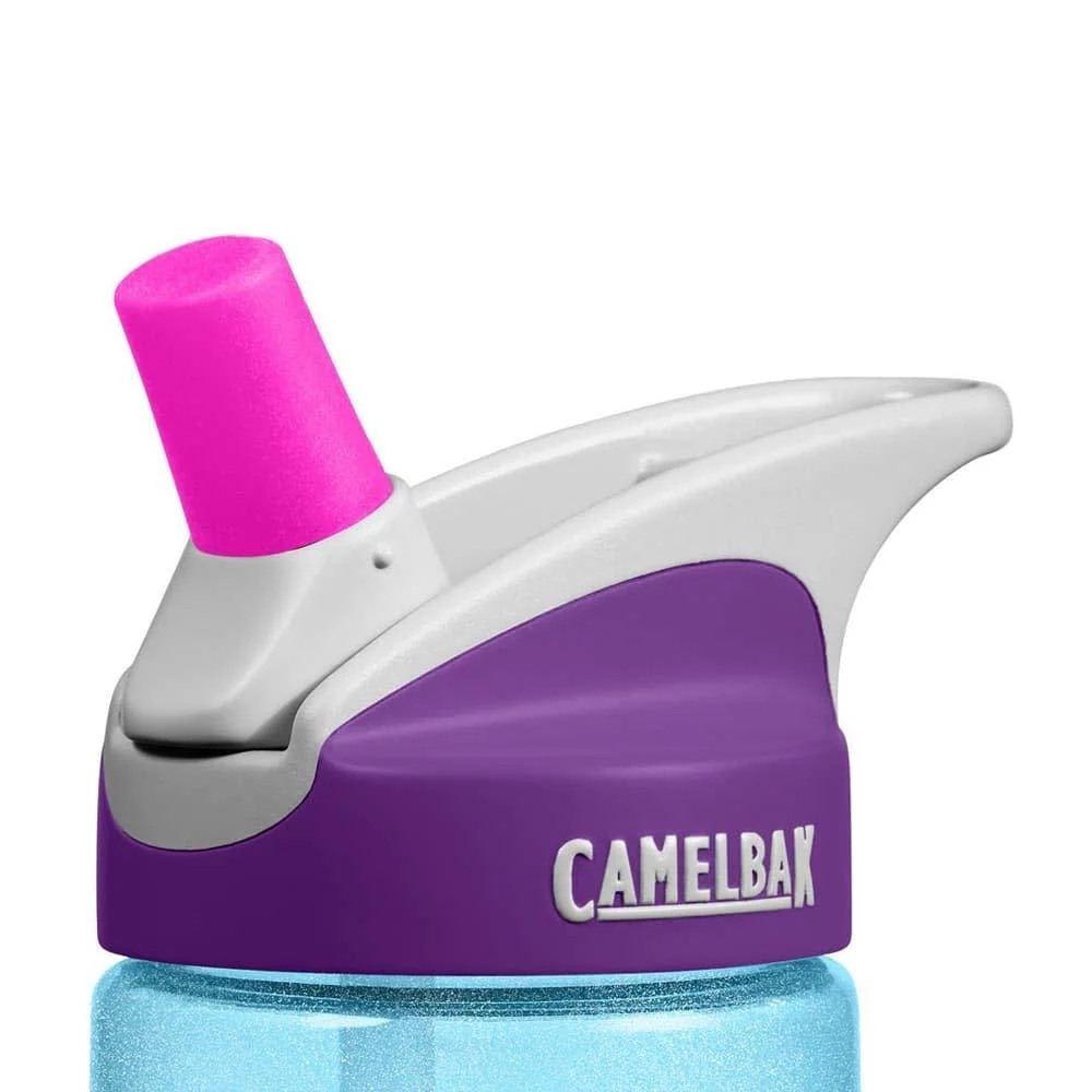 CamelBak Eddy Kids BPA Free Water Bottle Airplane Bandits Bottle Only