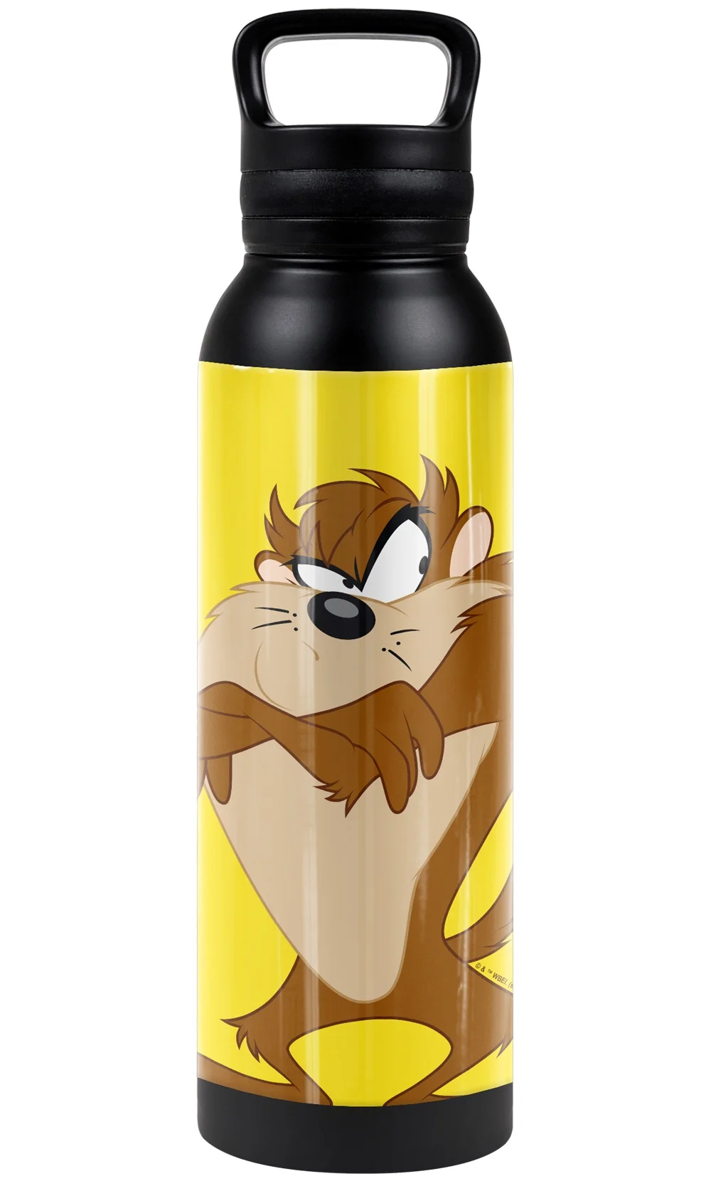 Looney Tunes Official Taz 24 oz Insulated Canteen Water Bottle, Leak Resistant, Vacuum Insulated Stainless Steel with Loop Cap, Black