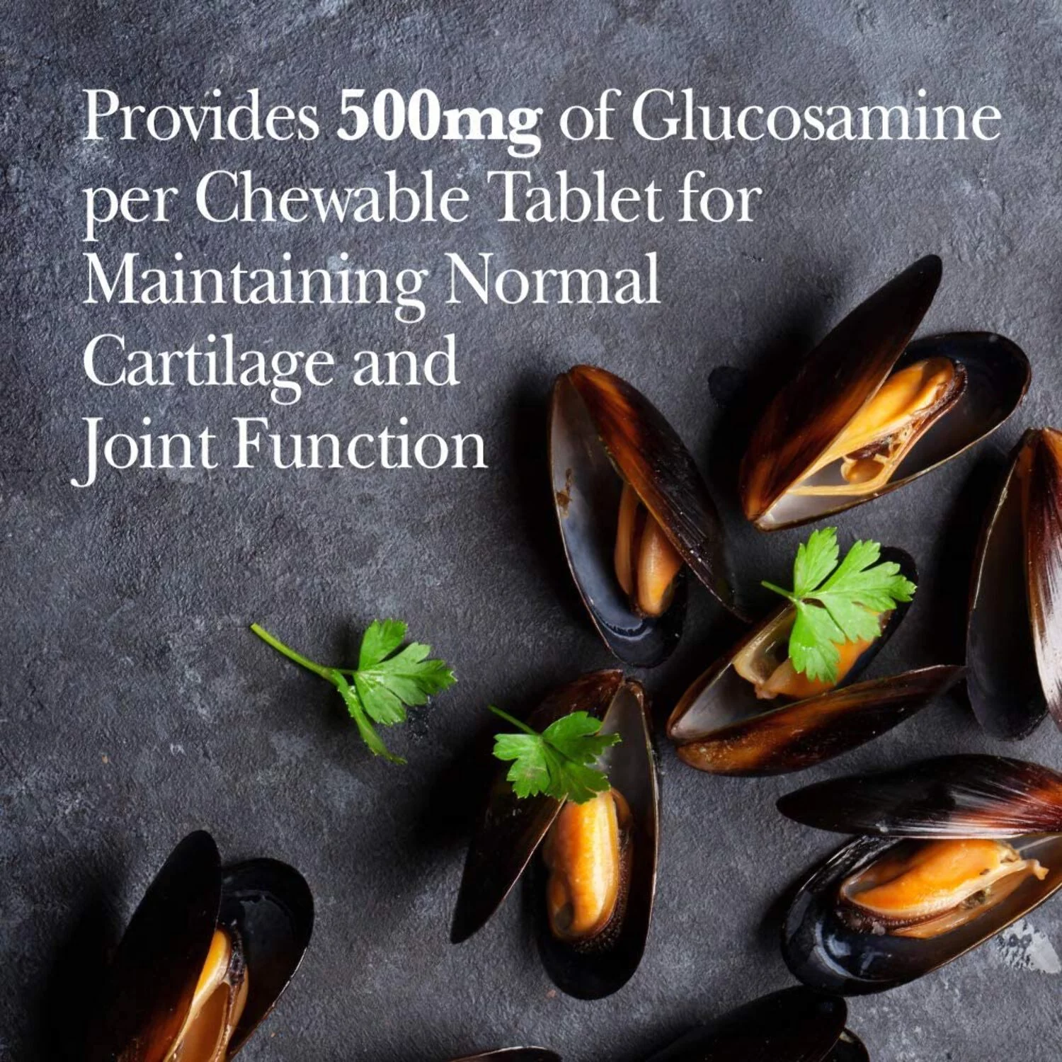 Nutri-Vet Hip  Joint Chewable Dog Supplements 90 Count