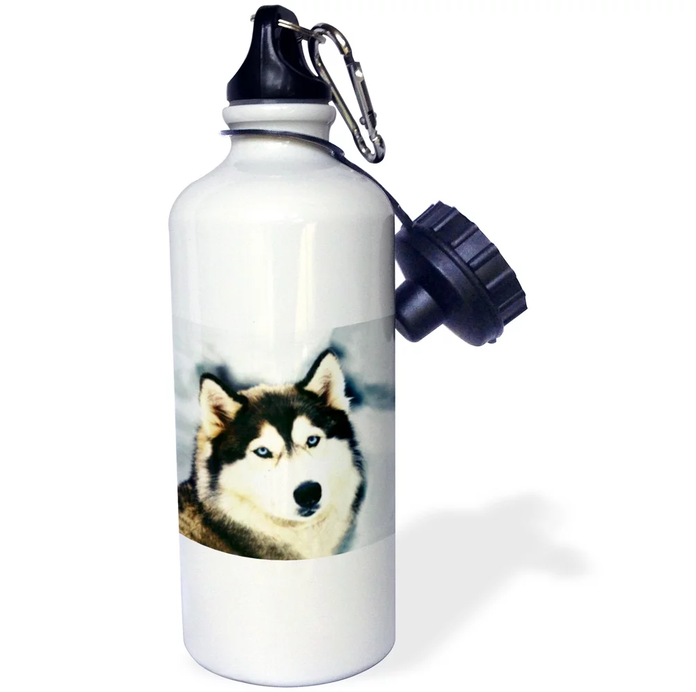 Staring Siberian Husky 21 oz Sports Water Bottle wb-517-1