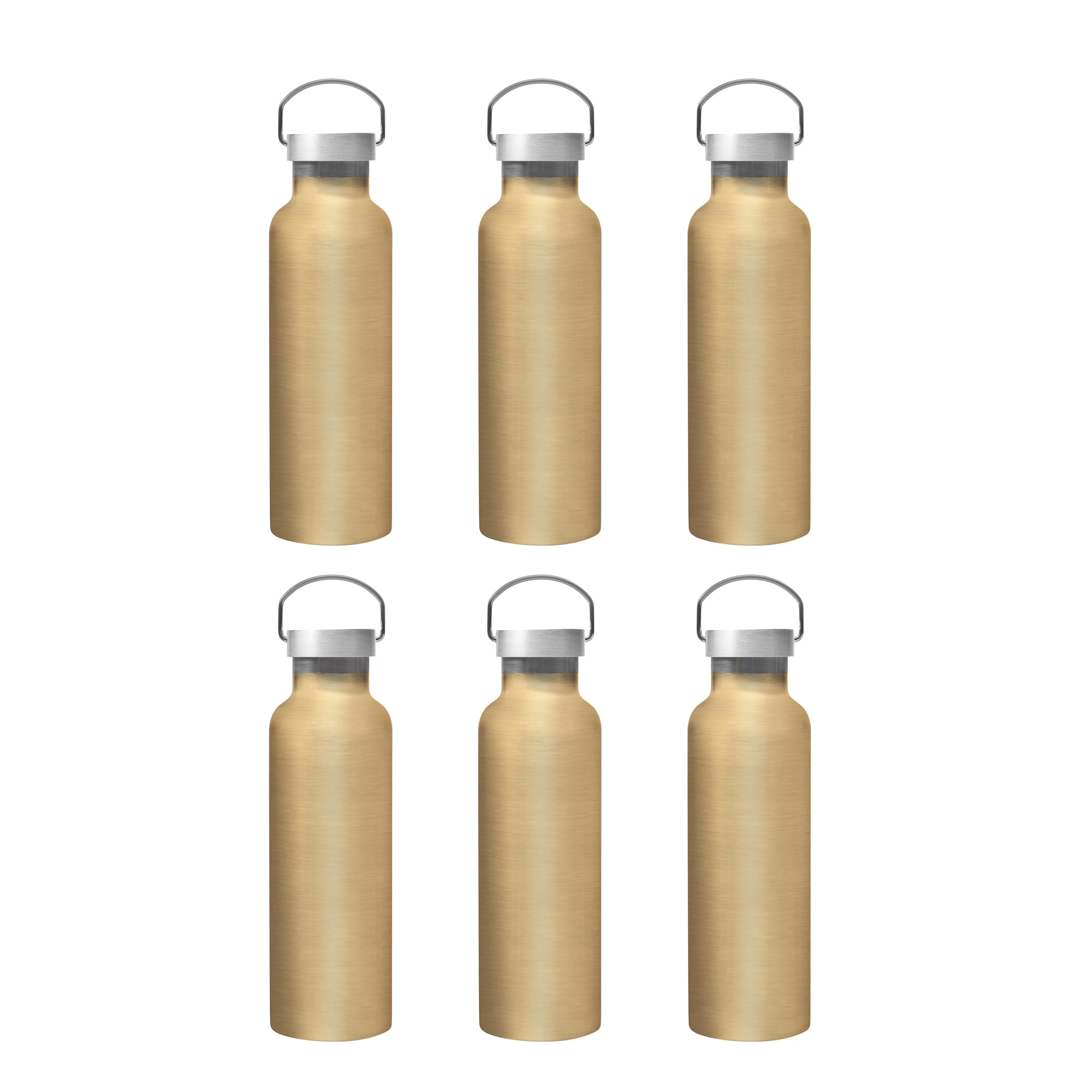6 Stainless Steel Canteen Water Bottles Set, 25 oz. - Double Wall, Wire Handle - Gold