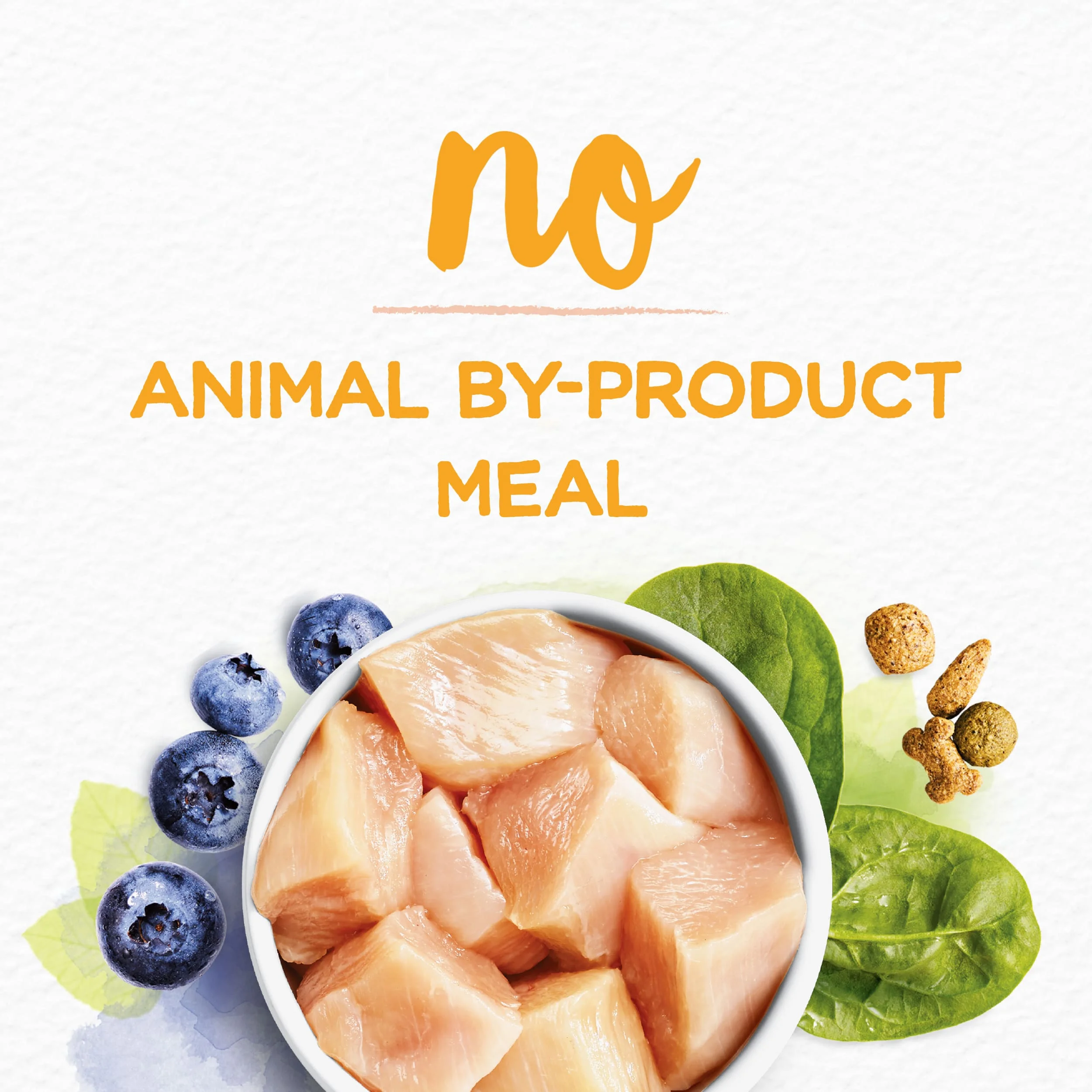 Purina Beneful Dry Dog Food Farm Raised Chicken, Grain-Free, 12.5 lb