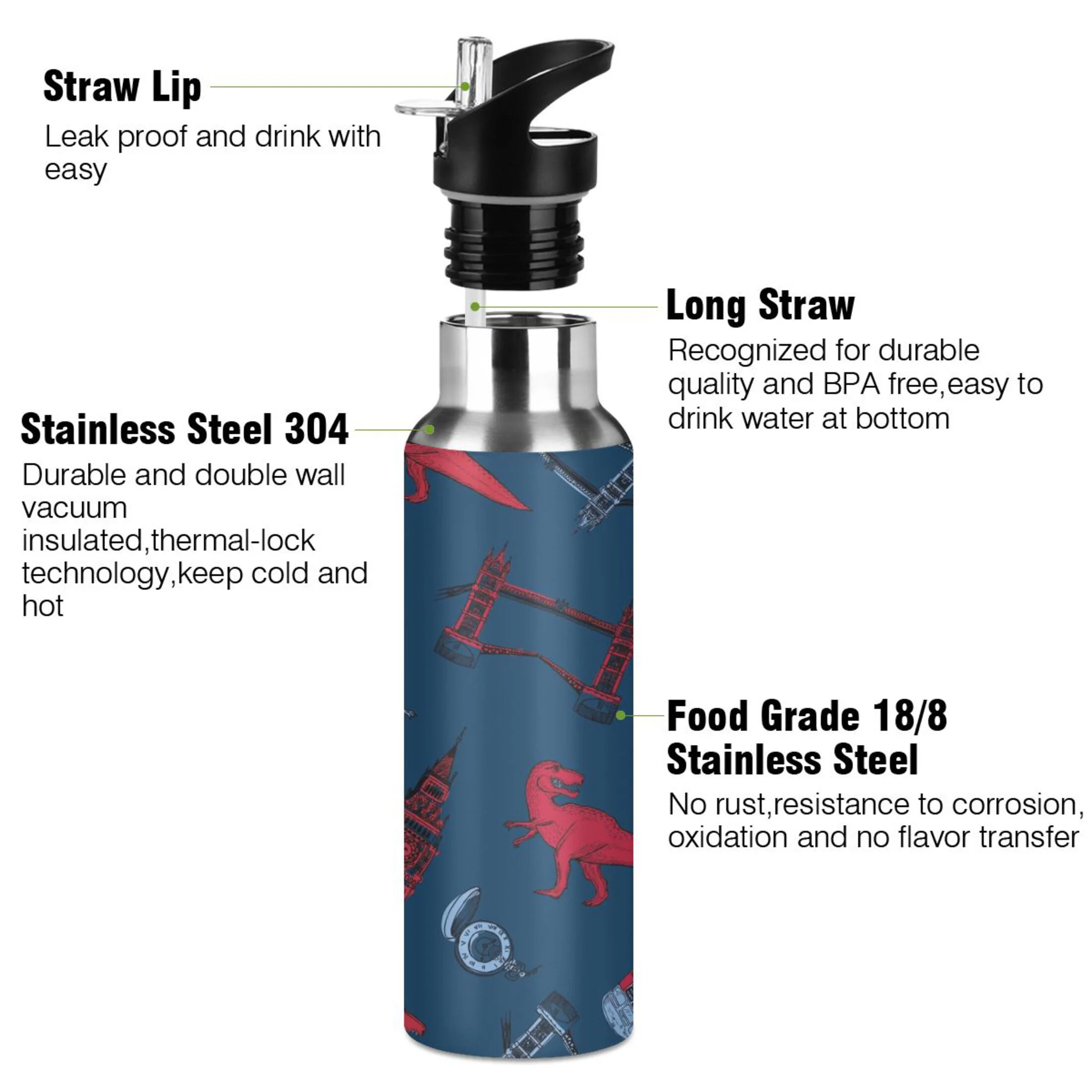 Stainless Steel Water Bottle Dinosaur British Style with Straw Lid Vacuum Insulated Keeps Hot and Cold Leak Proof Flask Jug for Gym Travel Sports Cycling Outdoor 20 OZ