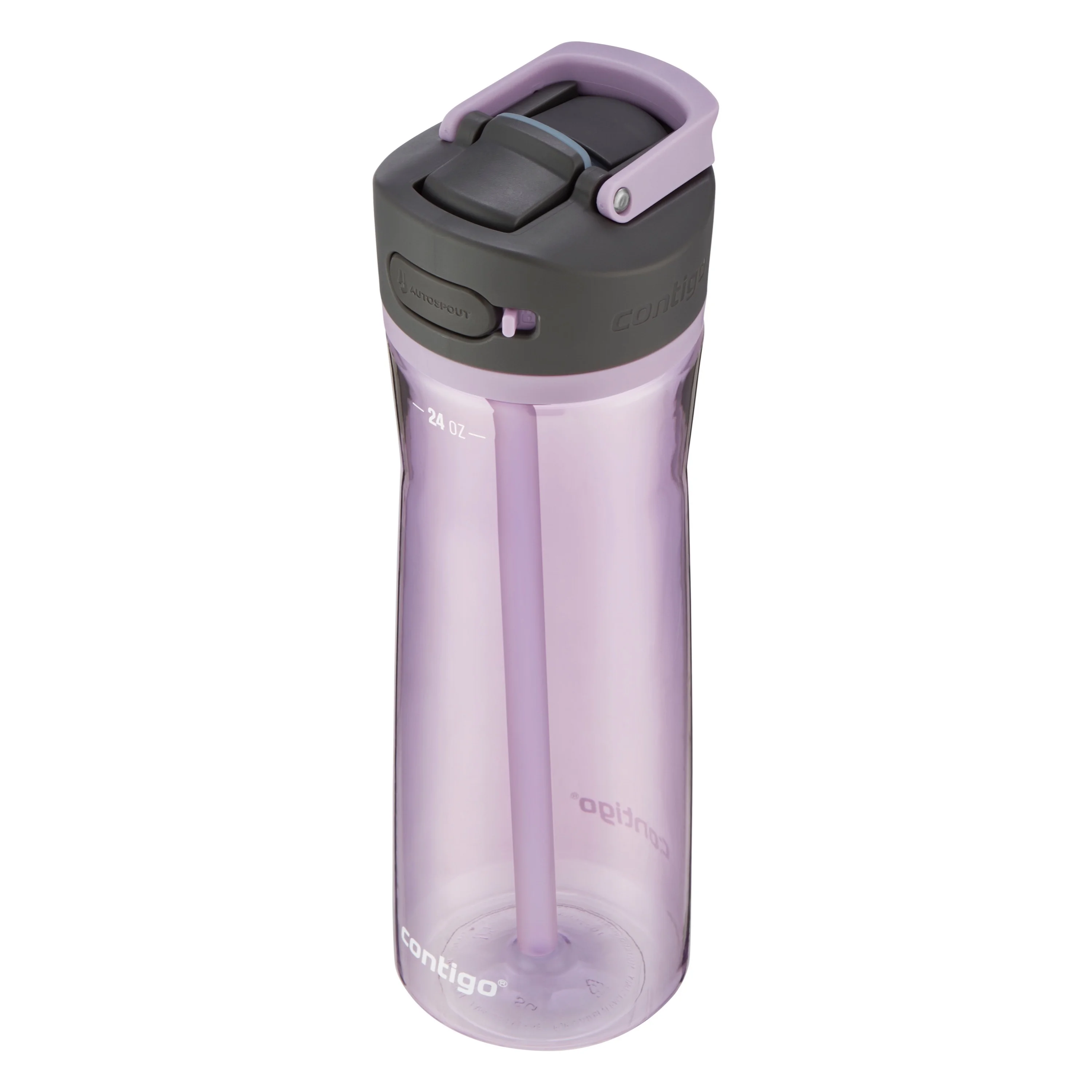 Contigo Ashland 2.0 24 oz Lavender and Black Plastic Water Bottle with Straw Lid