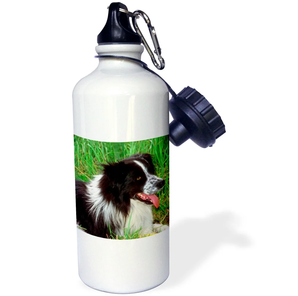 Border Collie 21 oz Sports Water Bottle wb-1244-1