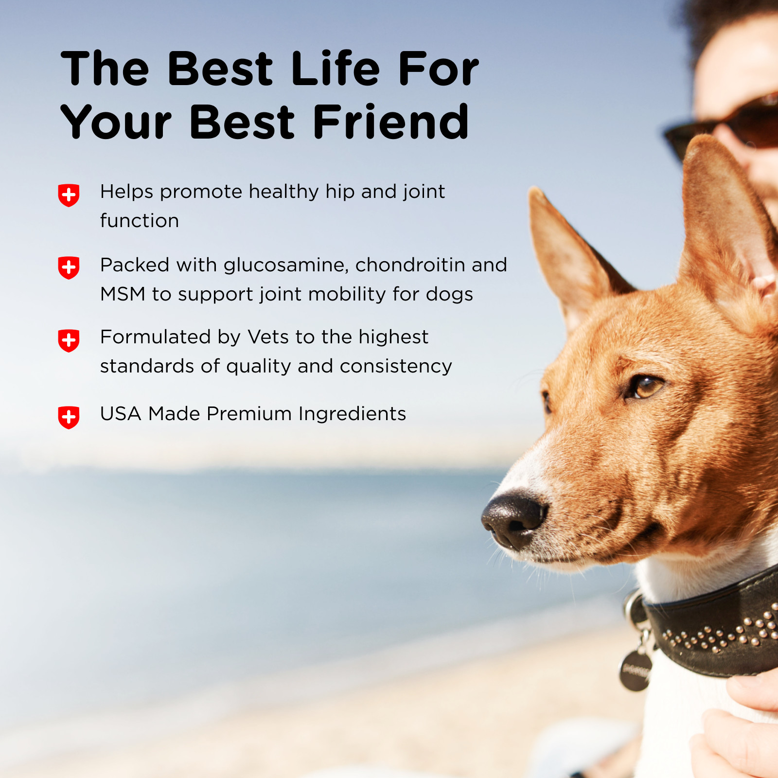 Nutri-Vet Hip & Joint Extra Strength Chewable Dog Supplements, 75 Count