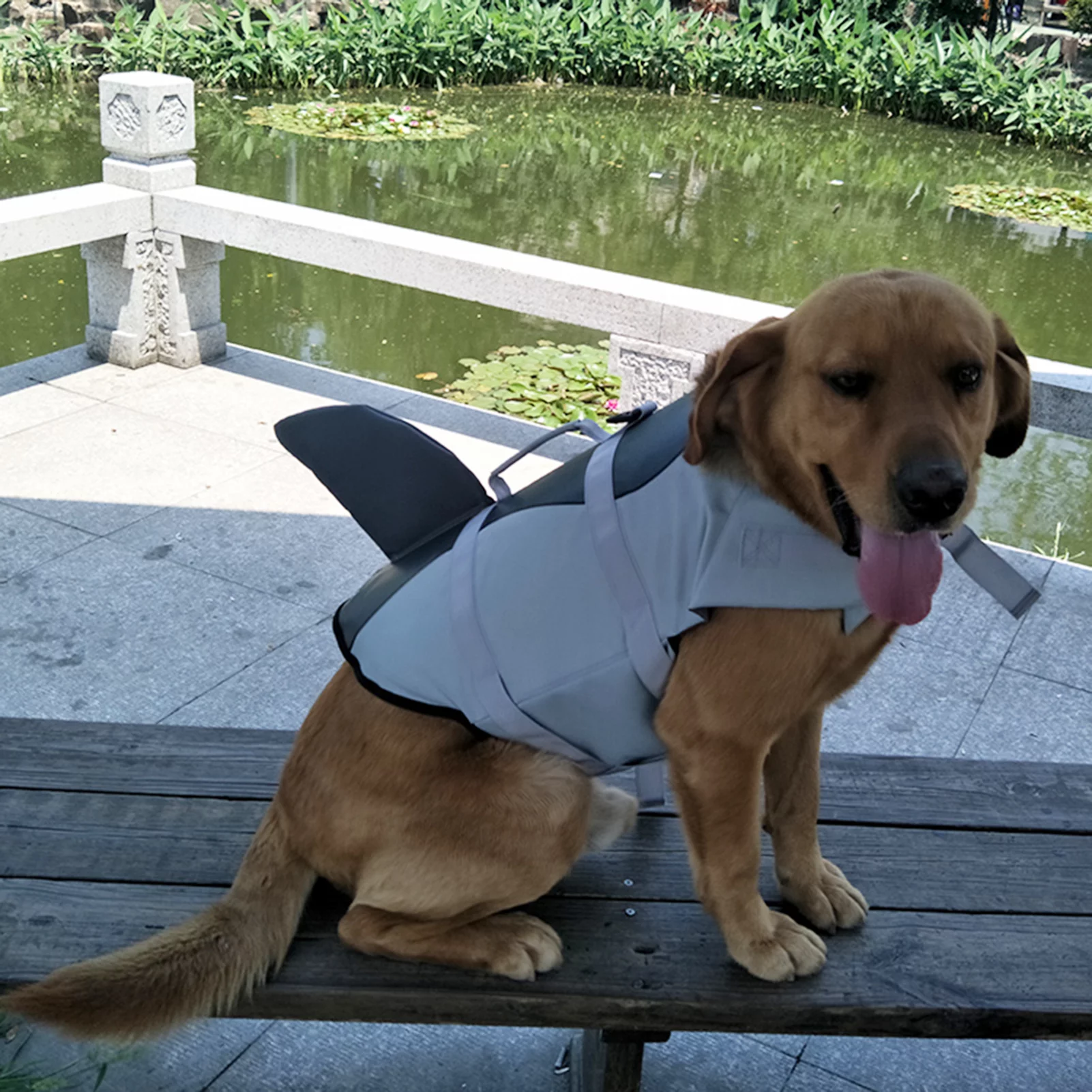 Dazzduo Lifejackets,Swimsuit Pet Shark Swimsuit Shark Swimsuit Vest Swimsuit Vest Pet Pet at The Pool Swimsuit Preserver Water Safety