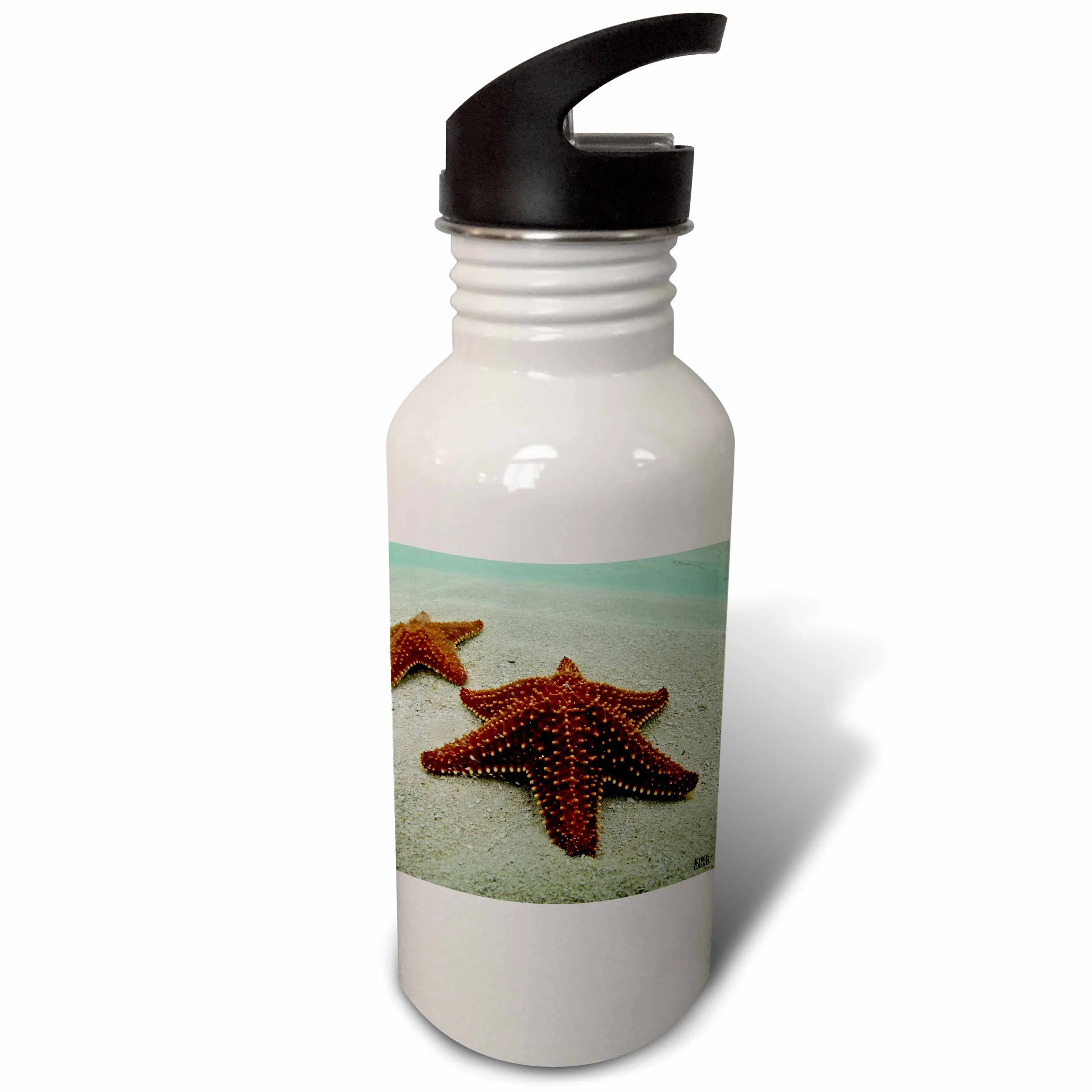 Sea star, San Blas Islands 21 oz Sports Water Bottle wb-10458-1