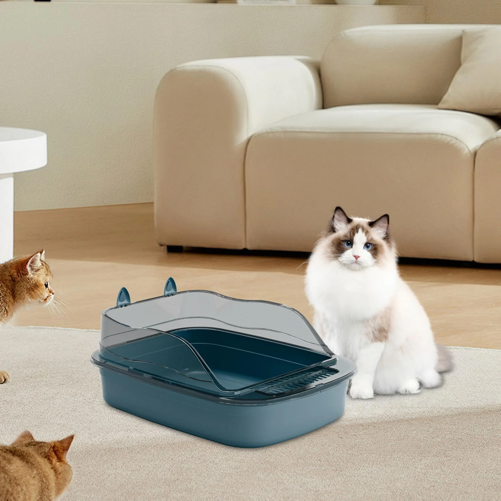 DOLITY Cat 50x34x18cm Cartoon Appearance Cat Sandbox Kitten Potty Toilet blue