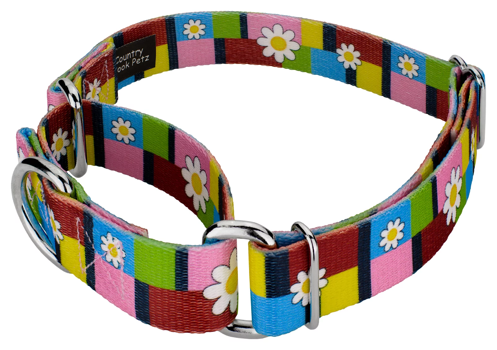 Country Brook Design® Spring Daisies Martingale Dog Collar and Leash, Mini