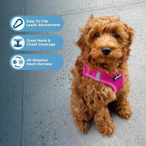 Voyager Step-in Air - All Weather Mesh Harness by Best Pet Supplies - Fuchsia, Medium
