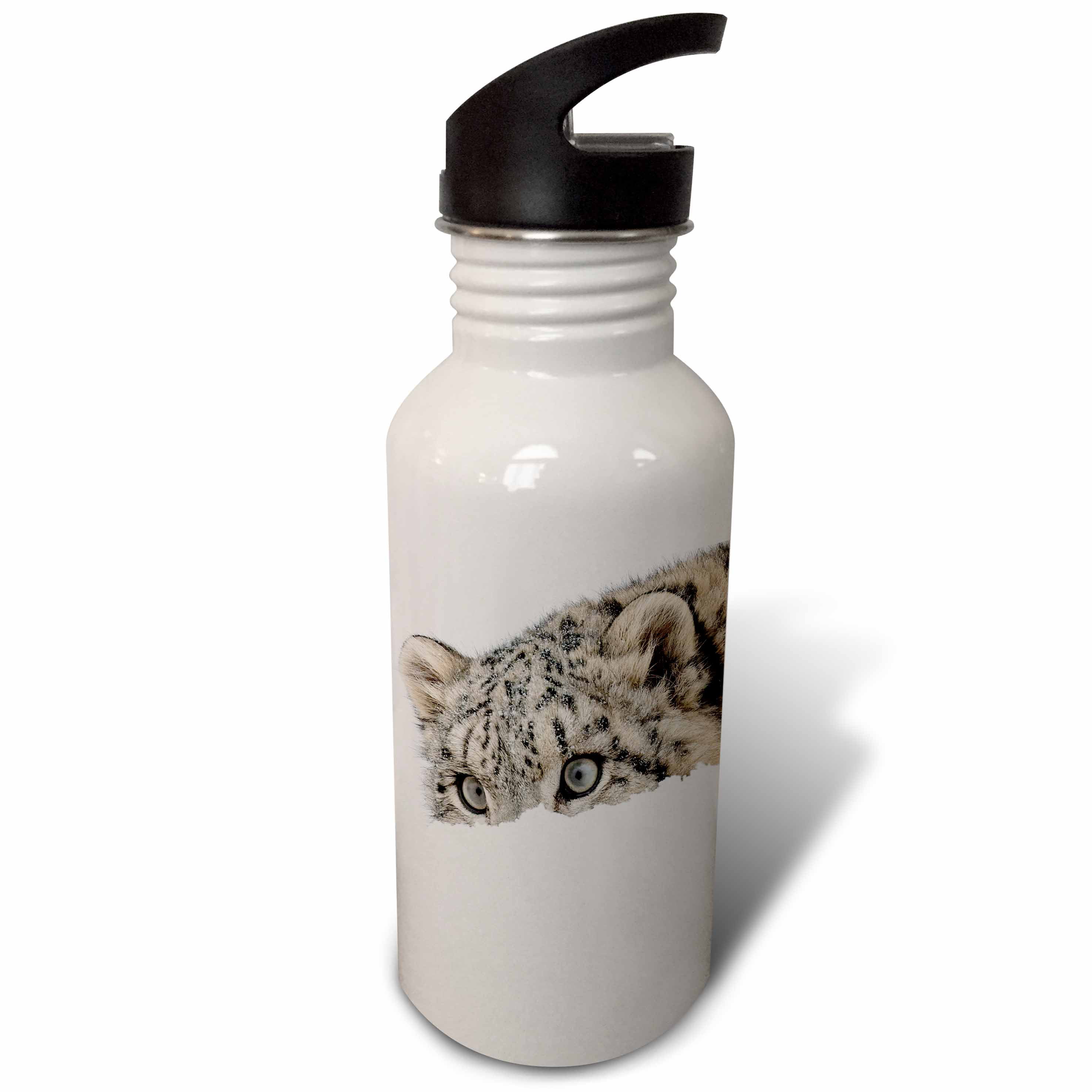 Snow leopard, Montana. Flip Straw 21oz Water Bottle wb-346663-2